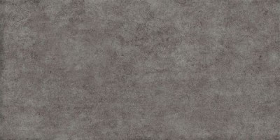 Плитка Alma Ceramica Boho серый 24,9x50 TWU2550BOH70