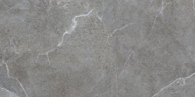 Керамогранит Ласселсбергер Гроза серый 60х120 6493-0147