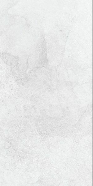 Плитка Ласселсбергер Кампанилья серый 1041-0245 20x40 1039-0245