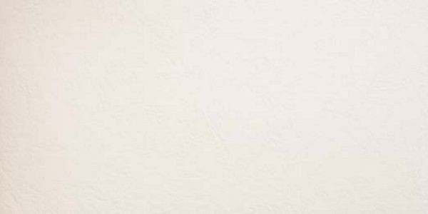 Керамогранит Imola Ceramica Cromia Burro6 12 60x120