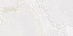 Керамогранит Fanal Planet Metal Shine White 60x120