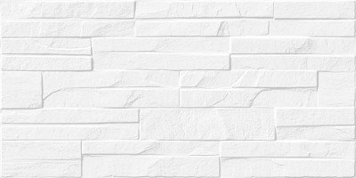 Плитка Alma Ceramica Discover белый 24,9x50 TWU2550DCV10