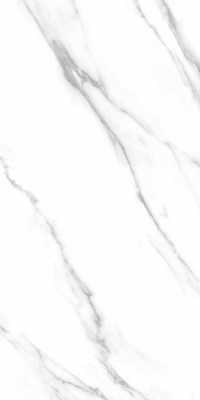 Керамогранит Fanal Carrara Dec B 60x120