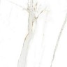 Керамогранит Absolut Gres Regal Carrara AB 1144G 60x120