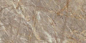Керамогранит Atlas Concorde Marvel Epic Natural Roots 120x278 Lapp.
