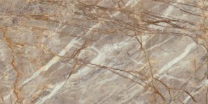 Керамогранит Atlas Concorde Marvel Epic Natural Roots 60x120 Lapp.