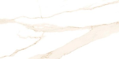 Керамогранит Absolut Gres Ricato Brown AB 1026G 60x120