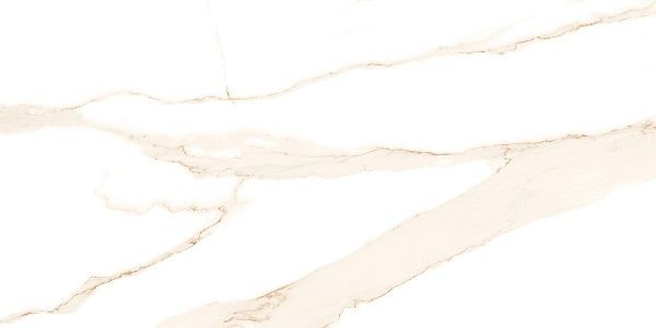 Керамогранит Absolut Gres Ricato Brown AB 1026G 60x120