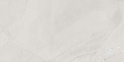 Керамогранит Belleza Armani Harbor Silver 60x120