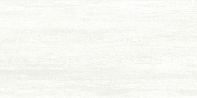 Плитка Alma Ceramica Пластер белый 24,9x50 TWU09PSR000