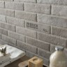 Tribeca (Rondine)