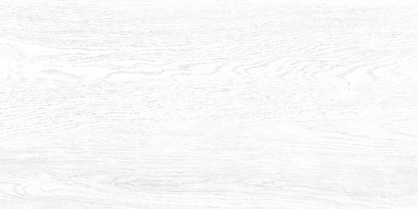 Плитка Alma Ceramica Wood белый 24,9x50 TWU09WOD000