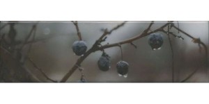 Декор Керама Марацци Тракай 8 глянцевый 8,5x28,5 OS\A120\9016