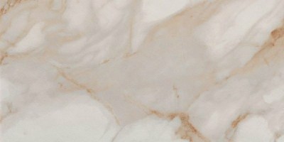 Керамогранит FAP Roma Stone Calacatta Oro Matt R9 60x120