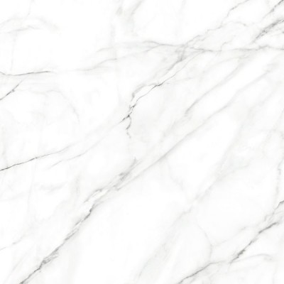 Керамогранит Alma Ceramica Neo Calacatta белый 60x60 GFU04NCL07R