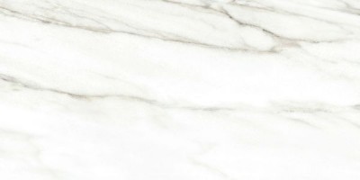 Плитка Alma Ceramica Euphoria серо-бежевый 24,9x50 TWU2550EPH04