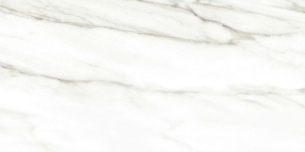 Плитка Alma Ceramica Euphoria серо-бежевый 24,9x50 TWU2550EPH04