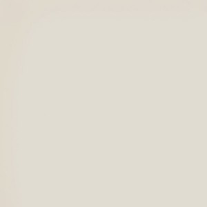 Керамогранит Estima Rainbow RW01 60x60 матовый