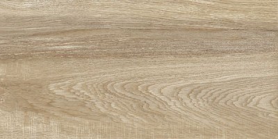 Плитка Alma Ceramica Euphoria коричневый 24,9x50 TWU2550EPH40