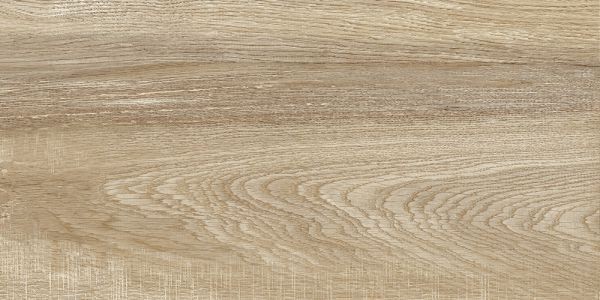 Плитка Alma Ceramica Euphoria коричневый 24,9x50 TWU2550EPH40