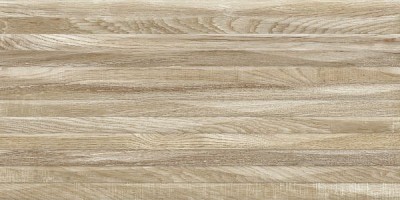 Плитка Alma Ceramica Euphoria коричневый 24,9x50 TWU2550EPH44