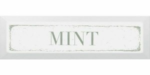 Декор Керама Марацци Mint зеленый 8,5x28,5 NT\A38\9001