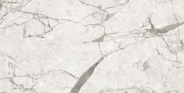 Керамогранит Rozalia Gray 60x120