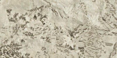 Керамогранит Atlas Concorde Marvel Epic Alpinus 60x120