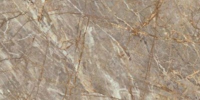 Керамогранит Atlas Concorde Marvel Epic Natural Roots 120x278 Lapp.
