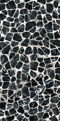 Декор Imola Ceramica The Room Turtle6 12 LP 60x120