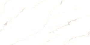 Керамогранит Belleza Domino Satvario 60x120