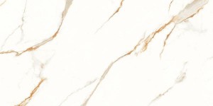 Керамогранит Absolut Gres Bianco Dorado AB 1158G 60x120