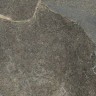 Керамогранит Ласселсбергер Диккенс натуральный 30x60