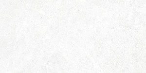 Плитка Alma Ceramica Stone серый 24,9x50 TWU09TON000