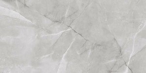 Керамогранит Absolut Gres Armani Silver AB 1142G 60x120