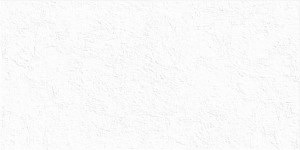 Плитка Alma Ceramica Miloni белый 24,9x50 TWU2550MLN10