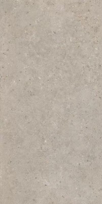 Керамогранит Керама Марацци Риккарди бежевый матовый обрезной 60х119,5 SG540620R