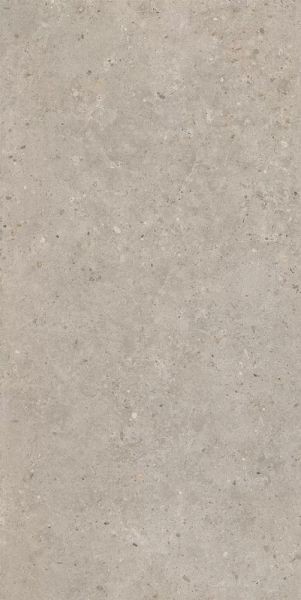 Керамогранит Керама Марацци Риккарди бежевый матовый обрезной 60х119,5 SG540620R