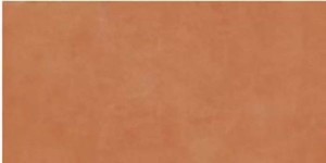 Керамогранит Imola Ceramica Retina Rtn6 Aranc12 RM 60x120