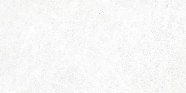 Плитка Alma Ceramica Stone серый 24,9x50 TWU09TON000