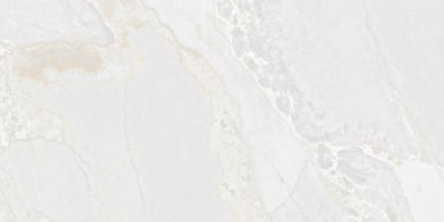 Керамогранит Fanal Planet Metal Shine White 60x120