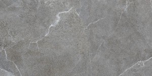 Керамогранит Ласселсбергер Гроза серый 60х120 6493-0147