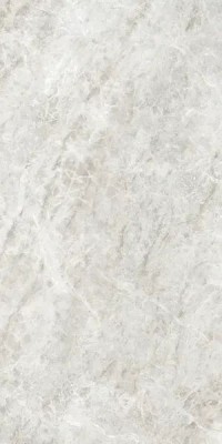 Керамогранит Cerim Iconic Life Rice Yamuna Glossy 60x120