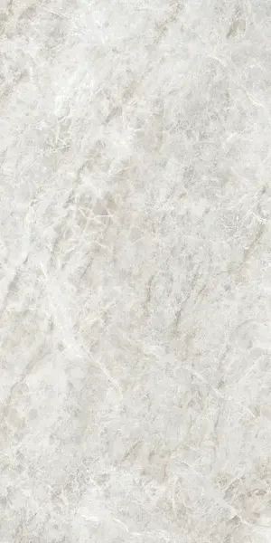 Керамогранит Cerim Iconic Life Rice Yamuna Glossy 60x120