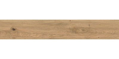 Керамогранит Atlas Concorde Log Icon Oak 20x120