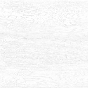 Плитка для пола Alma Ceramica Wood белый 41,8x41,8 TFU03WOD000