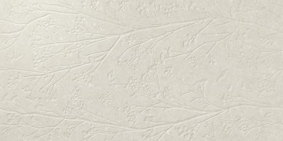 Плитка APE Greystone Divine Beige Rect. 60x120