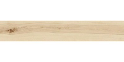 Керамогранит Atlas Concorde Log Cansei Sospiro 20x120