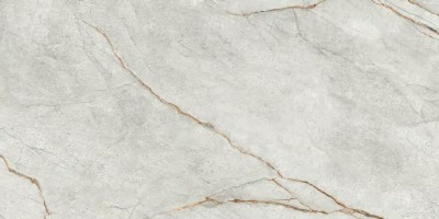 Керамогранит Imola Ceramica The Room Gre Ro6 12 RM 60x120