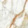 Керамогранит Absolut Gres BorginiGold AB 1059G 60x60